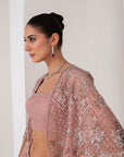 Lavender crystal hanging blouse & lurex saree