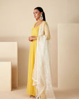U Neckline Anarkali with Flared