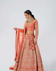 Maroon Crop Top and Skirt Lehenga with Mirror Work and Feather Details