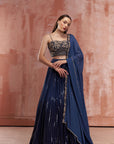 Elegant Embroidered Lehenga Set