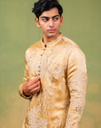 ZARI BAAGH