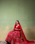 MOR BANI