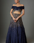 Navy Blue Sequinse Lehenga