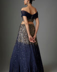 Navy Blue Sequinse Lehenga