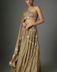 Tan Gold Sequins Lehenga