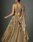 Tan Gold Sequins Lehenga