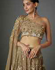 Tan Gold Sequins Lehenga