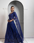 Sapphire Radiance Embroidered Lehenga Set
