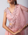 Layla Drape Pant Saree Set