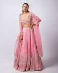 Lusia Lehenga Set