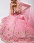 Lusia Lehenga Set