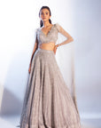Sylver Lehenga Set