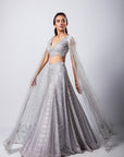 Sylver Lehenga Set