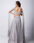 Sylver Lehenga Set