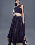 Glitter Lehenga