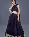 Glitter Lehenga