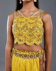 Palazzo And A Printed Half Patola Skirt