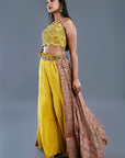 Palazzo And A Printed Half Patola Skirt