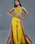 Palazzo And A Printed Half Patola Skirt