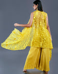 Flowy Organza Palazzos