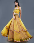 Ocher Yellow Lehenga