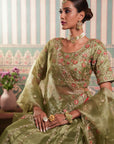 Green Lehenga Set
