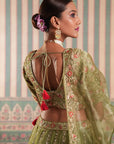Green Lehenga Set