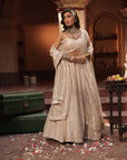 Maya Silver Silk Tissue Jaal Lehenga Set