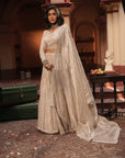 Maya Silver Silk Tissue Jaal Lehenga Set