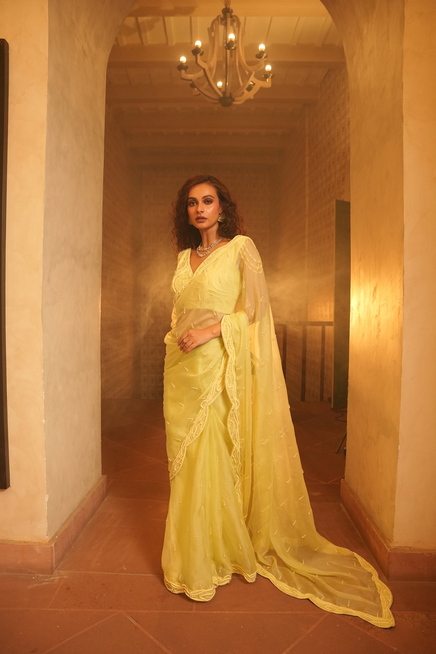 TT Heavy Embroidery Blouse With Organza Saree