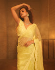TT Heavy Embroidery Blouse With Organza Saree
