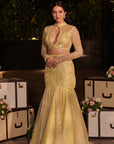 Butter Yellow Mermaind Lehenga Set. 2 (Skirt + Blouse)