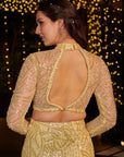 Butter Yellow Mermaind Lehenga Set. 2 (Skirt + Blouse)