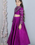 Stone Work Lehenga