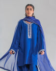 Blue Luxe Embroidered Farshi Suit Set with Dupatta
