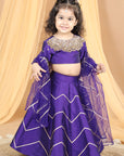 Lehenga Choli Set