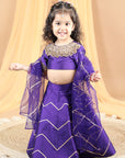 Lehenga Choli Set