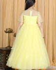 Anarkali with Embroidert