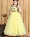 Anarkali with Embroidert