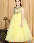 Anarkali with Embroidert