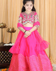 Silk Lehenga and Blouse with Gota Embroidery