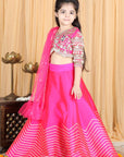 Silk Lehenga and Blouse with Gota Embroidery