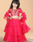 Organza Lehenga with Leather Patching