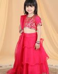 Organza Lehenga with Leather Patching