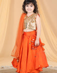 Silk Lehenga with Work