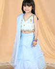 Acrylic Work Lehenga