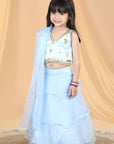 Acrylic Work Lehenga