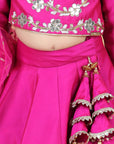 Lehenga with Embroidered Blouse