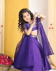 Thread Embroidery Blouse with Cape N Lehenga
