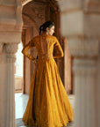 Golden Floral Organza Embroidered Anarkali Set
